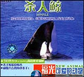 可爱的动物—杀人鲸