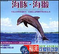 可爱的动物—海豚、海獭