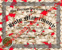 FC-17 Fake Marriage Certificate