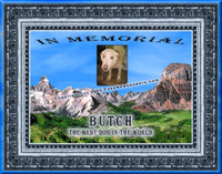 Pet Memorial Certificate