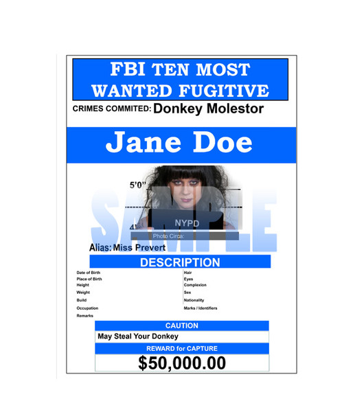 Fake "Wanted" Poster, FBI Style