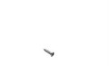 64-70 Door Sill Scuff Plate Screw - Drake