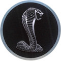 Tiffany Snake Emblem