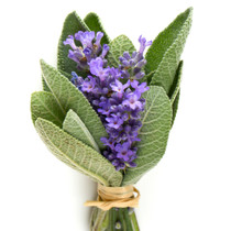 Lavender Sage Cream Pot