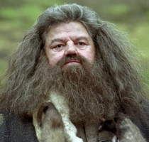 Hagrid's Vanilla Oatmeal Lotion Wash or Scrub