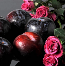 Plum Cherry Rose Patchouli Lotion Wash or Scrub