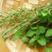 Peppermint Rosemary Cream Pot