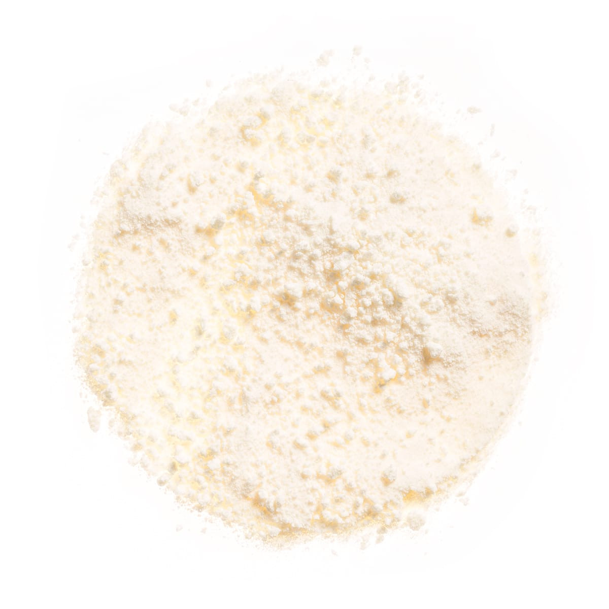 Instant Non Fat Dry Milk Powder (Bulk, 16 oz)