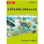 Collins Explore English Stage 5 Teacher’s Guide - ISBN 9780008369262