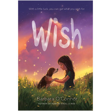 Wish by Barbara O'Connor - ISBN 9781250144058