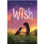 Wish by Barbara O'Connor - ISBN 9781250144058