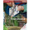 Cambridge O Level Commerce Coursebook (2nd Edition) - ISBN 9781107579095
