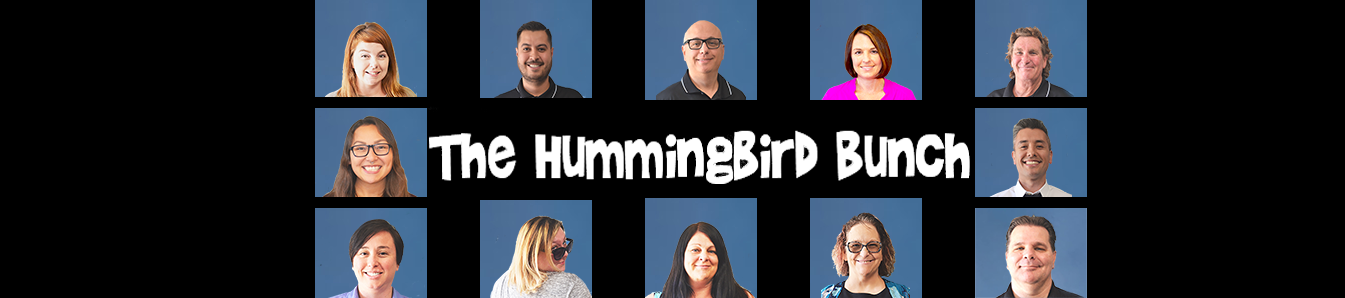 Hummingbird Networks Business It Solutions About Us Team Photo