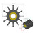 Albin Pump Premium Impeller Kit 95 x 24 x 101.5mm - 12 Blade - Spline Insert [06-02-033]