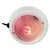 Perko Dome Light w\/Red & White Bulbs [1263DP1WHT]