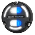 Hella Marine Apelo A2 Blue White Underwater Light - 3000 Lumens - Black Housing - Charcoal Lens w\/Edge Light [016147-001]