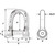 Wichard Self-Locking Allen Head Pin D Shackle - 8mm Diameter - 5\/16" [01304]