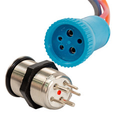 Bluewater 22mm Push Button Switch - Off\/On Contact - Blue\/Red LED - 4' Lead [9059-1113-4]
