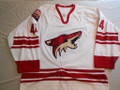 Phoenix Coyotes 2003-04 White Andrei Nazarov Fight Wear Photomatched!!