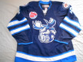Manitoba Moose 2017-18 Blue Christopher Dienes Nice Style!!