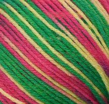 Lima Colors Yarn  - Green Pink Multi (42141)