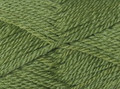 Cleckheaton Country 8 Ply Wool - Green Eyes (2374)