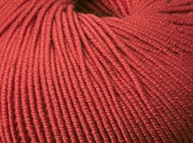 Cleckheaton Australian Superfine Merino 8 ply Wool - Burnt Red (10)