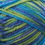 Naturally Loyal Prints DK Wool - (1001)