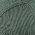 Patons Extra Fine Merino 8 Ply Wool - Bay Leaf (2127)