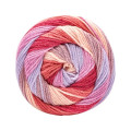 Caron Cinnamon Swirl Yarn - HIBISCUS (33001)