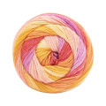 Caron Cinnamon Swirl Yarn - MAITAI (33004)
