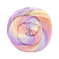 Caron Cinnamon Swirl Yarn - SPRINGTIME (33021)