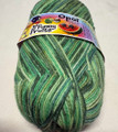 Opal Funny Fruits 4ply Yarn - (11417)