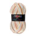 Bella Storia Jigsaw Yarn - Pastel Winter (106)