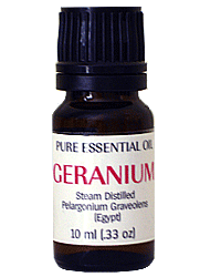 Essential oil of Geranium. One of the best natural remedies for anxiety