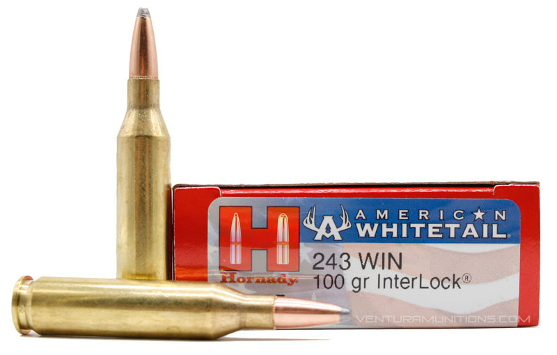 Hornady American Whitetail 243 Win 100gr BTSP Ammo - 20 Rounds ...