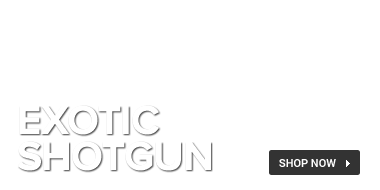 Exotic Shotgun Ammo