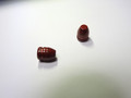 .44 MAG/SPL 180 Grain Round Nose Flat Point - Red Coated - 500ct