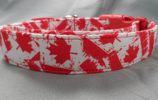 dog collars canada