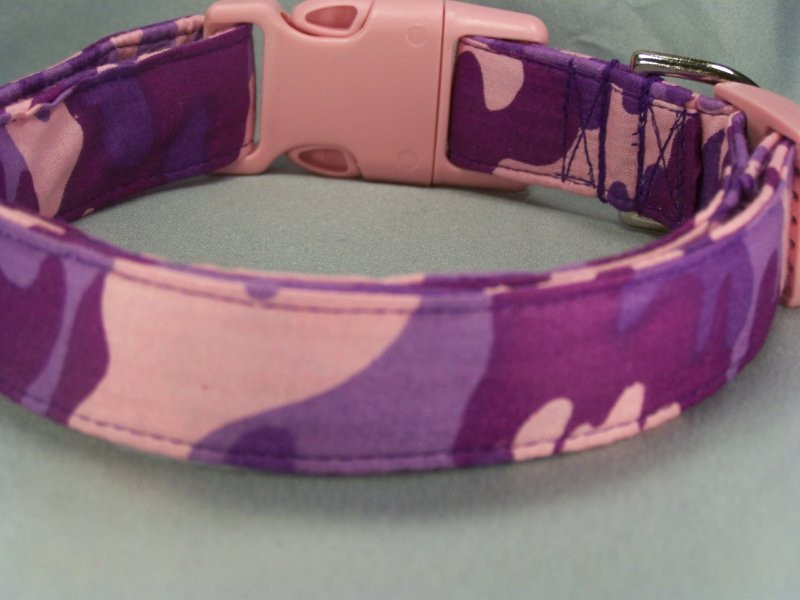purple dog leads