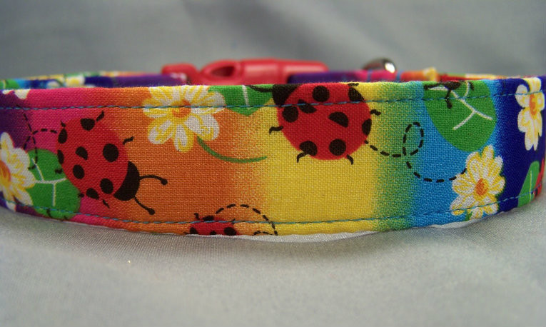 ladybug dog collar