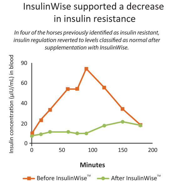 insulinwise-chart-1.jpg
