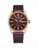 Citizen Eco-Drive Watch (20-739)
