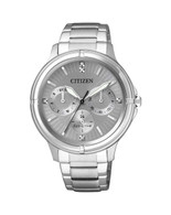 Citizen Eco-Drive Watch (19-1300)