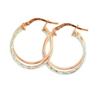 Double Hoop Earrings (14-2060)