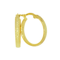 Hoop Earrings (14-2061)