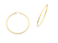 Hoop Earrings (14-2036)