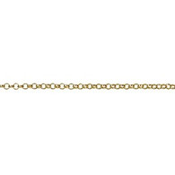 50cm Gold Chain (15-25820)