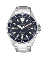 Citizen Eco-Drive Watch (20-725)