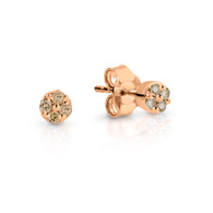 Dreamtime Australian Diamonds Olive Earrings (12-513)